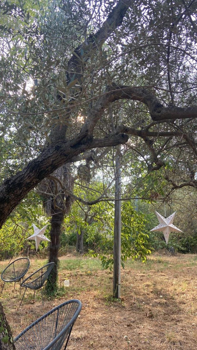 Bolsena Cento20 - Rooms & Relax ภายนอก รูปภาพ